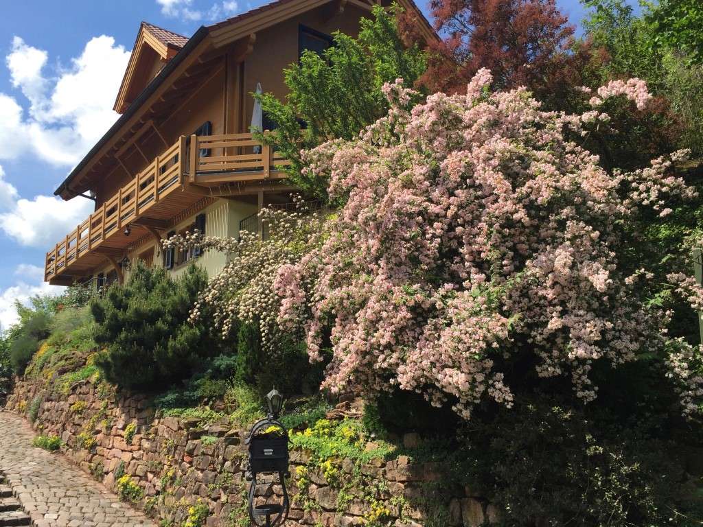 Immobilie in Bundenthal - Ein kleines Paradies im Pfälzer Wald ... 1-3 WE im Bio-Doppelblockwandhaus !!! - Bild 0