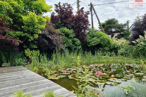 Einfamilienhaus mit Pool und Teich in Crinitzberg / Bärenwalde (zwischen Eibenstock und Schneeberg) – Zwickau (Kreis) – Vorschaubild 14