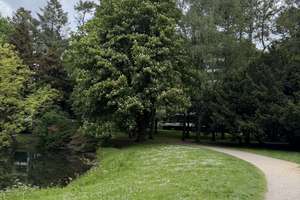 +++ Toplage +++ Helle 3-Zimmerwohnung direkt am Kaiserpark +++ – Die vollständige Adresse der Immobilie erhältst du vom Anbieter., 47800 Bockum, Krefeld – Vorschaubild 21