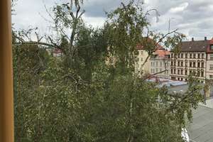 Property thumbnail 12