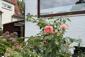 Charmantes Einfamilienhaus mit umlaufendem Garten in Hamburg-Poppenbüttel – 22399 Hummelsbüttel, Hamburg – Vorschaubild 21
