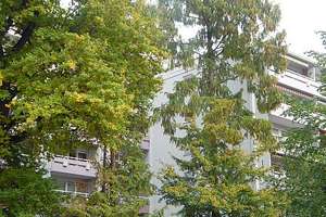 Moderne Wohnung mit 3 Balkonen, Aufzug und Tiefgarage – Die vollständige Adresse der Immobilie erhältst du vom Anbieter., 65191 Nordost, Wiesbaden – Vorschaubild 2