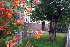 Großzügige Altbauwohnung mit Loggia & Gartenblick – ideal für Paare & junge Familien