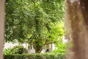 Großzügiges Wohnen in Düsseldorf-Stockum: Charaktervolles Haus von 1929 mit herrlichem Garten – Die vollständige Adresse der Immobilie erhältst du vom Anbieter., 40474 Stockum, Düsseldorf – Vorschaubild 5
