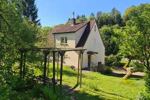 Frisch kernsaniertes Zuhause im Grünen – ideal für Familien, Naturliebhaber, Senioren – Hüttenmühle 2, 34593 Knüllwald – Vorschaubild 19