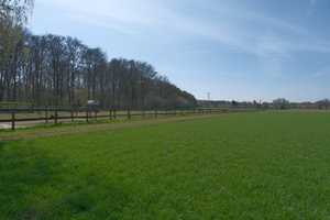 Pferderanch mit drei Wohneinheiten und 2Ha Weideland direkt am Reichswald. – Grafwegenerstraße 16, 47559 Kleve (Kreis) – Vorschaubild 57