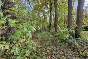Galerie, Werkstatt, Wald und mehr – Die vollständige Adresse der Immobilie erhältst du vom Anbieter., 41516 Grevenbroich – Vorschaubild 29