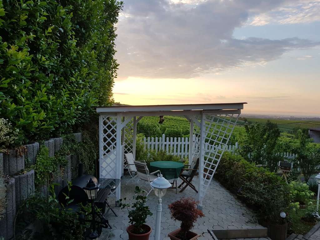 Immobilie in Mölsheim - Weitblick, Weinreben, Wohlfühlen! - Bild 3