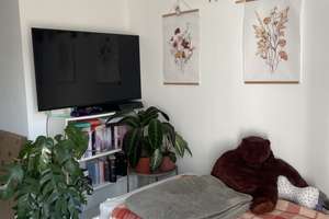 Exklusive teilmöblierte 1-Zimmer Wohnung mit Balkon und EBK in Augsburg – Höchstetterstraße 20b, 86154 Links der Wertach-Süd, Augsburg – Vorschaubild 8