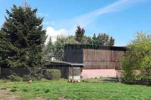 *Landhaus in ruhiger Lage und mit freiem Blick!* – Ostprignitz-Ruppin (Kreis) – Vorschaubild 22