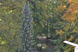 Property thumbnail 8