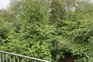 Schön geschnittene 3 Zimmer Wohnung mit Balkon – Die vollständige Adresse der Immobilie erhältst du vom Anbieter., 51063 Mülheim (Ortsteil), Köln – Vorschaubild 19