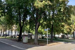 Property thumbnail 27