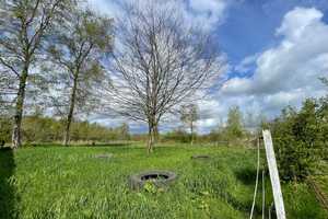 Resthof unter Reet -7,6 ha- Pferdestall- Reithalle, schöne Lage – Schleswig-Flensburg (Kreis) – Vorschaubild 8