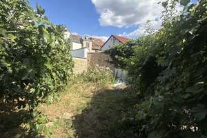 3 Familienhaus + 1 Einliegerwohnung mit Garten und Innenhof – 67063 Friesenheim, Ludwigshafen am Rhein – Vorschaubild 4