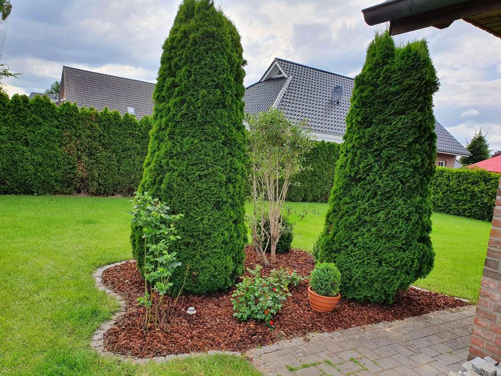 Immobilie in Lengenbostel - Hochwertiges Einfamilienhaus mit Doppelgarage & attraktivem Raumkonzept - Bild 3