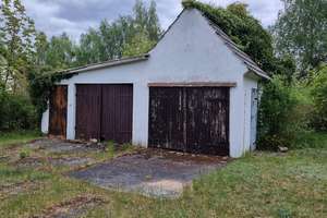 Haus und Bootshaus - Land- und Wasseridylle – Birkenweg 6, 16831 Rheinsberg – Vorschaubild 25