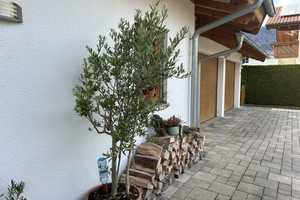Großzügiges Einfamilienhaus mit außergewöhnlicher Architektur Nähe Chiemsee – Traunstein (Kreis) – Vorschaubild 2