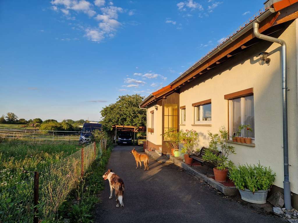 Immobilie in Ofterdingen - Pferdehalter aufgepaßt !!! Wohnhaus, Bauplatz und Offenstall zur Pferdehaltung am Haus, 19ar - Bild 1