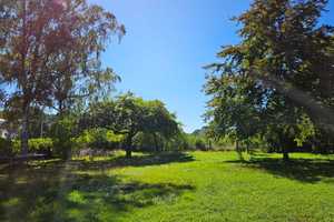 Freihstehendes EFH mit Garten in Ansbach-Hennenbach – Ansbach – Vorschaubild 2
