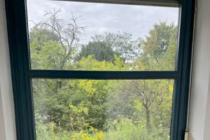 PROVISIONSFREI: RUHIGE, HELLE WOHNUNG AM PARK MIT BLICK INS GRÜNE IM WUNDERSCHÖNEN ZEHLENDORF! – Laehr'scher Jagdweg xx, 14167 Zehlendorf, Berlin – Vorschaubild 14