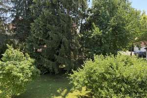 Zentrumsnah: Wohnhaus mit Galerie/Werkstatt, Einlieger-App.  & traumh. Naturgarten (834 qm) – Die vollständige Adresse der Immobilie erhältst du vom Anbieter., 94072 Bad Füssing – Vorschaubild 9