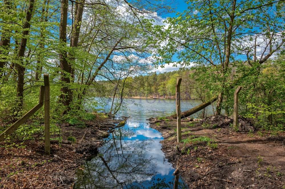 Einfamilienhaus in Traumlage im nördlichen Berlin, Berlin – Bild 3