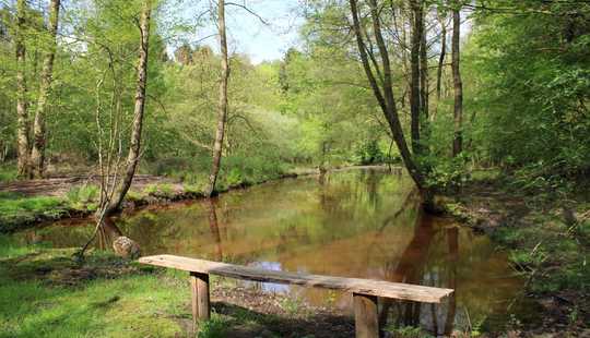 Bild von Ruhe, Natur und zentrale Lage, exklusive
Villa mit Einliegerwohnung bietet viel Potenzial