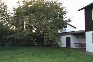 Einfamilienhaus mit großem Garten - im Zentrum Altötting - ruhig – Langbehnstraße 5, 84503 Altötting – Vorschaubild 12