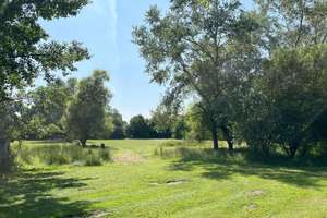 Geräumiges Landhaus, Weideland anliegend – Die vollständige Adresse der Immobilie erhältst du vom Anbieter., 26607 Aurich – Vorschaubild 10