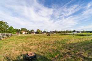 Einzigartige Ranch: 6000 m² Freiheit & über 800 m² Wohnfläche! – Kleve (Kreis) – Vorschaubild 75