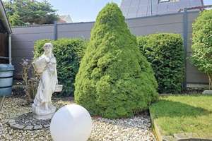 Property thumbnail 22