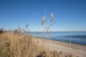 Urlaubsglück an der Ostsee – Schleswig-Flensburg (Kreis) – Vorschaubild 16