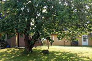 Wohnen in Westensee - Natur pur und Platz genug im Einfamilienhaus XXL – Rendsburg-Eckernförde (Kreis) – Vorschaubild 7