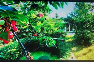 Besonderer Bungalow auf wunderschönem Grundstück in Berlin-Mahlsdorf – Berlin – Vorschaubild 11