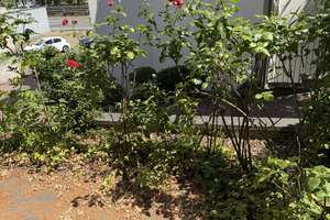 3-Zimmer-Wohnung mit Terrasse in Mainz-Weisenau – Mönchstr. 27, 55130 Weisenau, Mainz – Vorschaubild 13