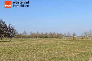 VIEL PLATZ FÜR MENSCH UND TIER: HAUSHÄLFTE MIT EINBAUKÜCHE UND PFERDEHOF + KOPPEL + NEBENGEBÄUDE – Müritz (Kreis) – Vorschaubild 20