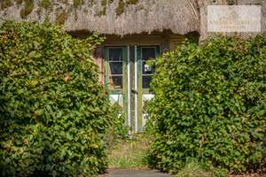 Reetdachhaus im Dornröschenschlaf sucht Menschen mit Mut und Visionen – Die vollständige Adresse der Immobilie erhältst du vom Anbieter., 24897 Ulsnis – Vorschaubild 4