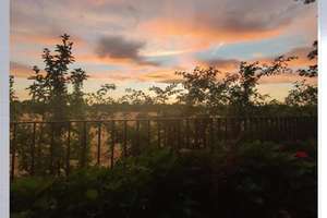 Property thumbnail 21