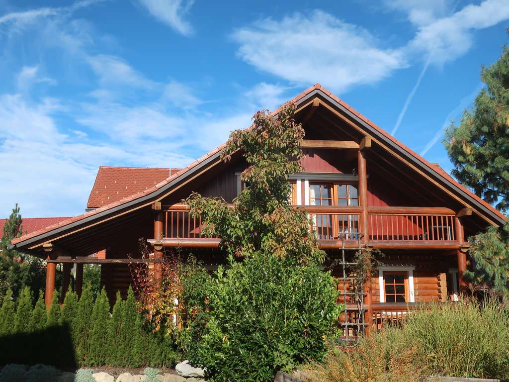 Immobilie in Oberreute - Rarität - massives Allgäuer Blockbohlenhaus unterkellert WF 234 qm 8 Räume ruhige Lage mit Büro-ELW - Bild 4