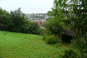 Ruhige, neuwertige 2,5-Zimmer-Wohnung am Waldrand