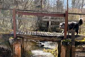 Einzigartige historische Mühle bei Kempten: Ihr neues Wohn- und Geschäftsdomizil – Oberallgäu (Kreis) – Vorschaubild 17