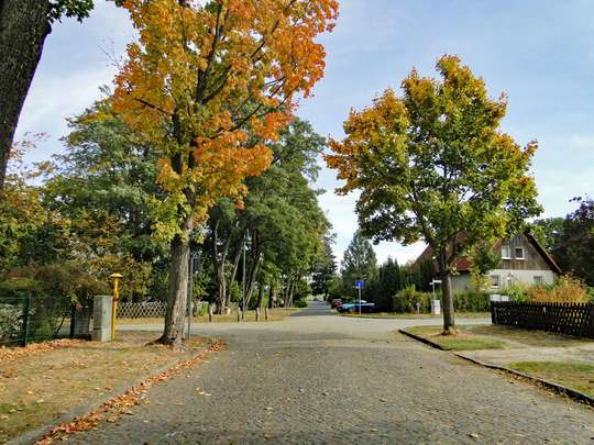 898m² Baugrundstück in einer Sackgasse, in Dahlewitz - Südausrichtung! - Bild 5