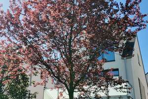 Einfamilienhaus - Neubau - Rodenkirchen im Sürther Feld – Die vollständige Adresse der Immobilie erhältst du vom Anbieter., 50999 Rodenkirchen (Ortsteil), Köln – Vorschaubild 22