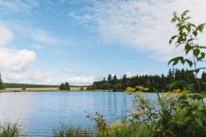 Rückzugsraum für Ruhesuchende! Besonderes Hotel - Kleinod im Harz – Die vollständige Adresse der Immobilie erhältst du vom Anbieter., 38678 Clausthal-Zellerfeld – Vorschaubild 39