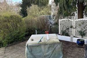 Repräsentatives Einfamilienhaus in TOP Lage am Triller – Spichererbergstraße 63, 66119 Alt-Saarbrücken, Saarbrücken – Vorschaubild 26