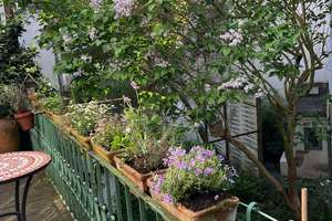 Property thumbnail 16