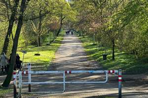 Helle 2-Zimmer Wohnung in Köln-Sülz – hermeskeiler strasse 38, 50935 Sülz, Köln – Vorschaubild 6
