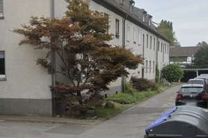 Charmante 2-Zimmer-Wohnung in ruhiger Lage von Essen