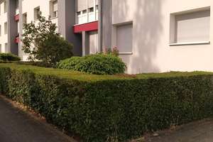 2,5-Zimmer-Wohnung in Krefeld-Linn – Pastoriusstraße 28, 47809 Linn, Krefeld – Vorschaubild 4